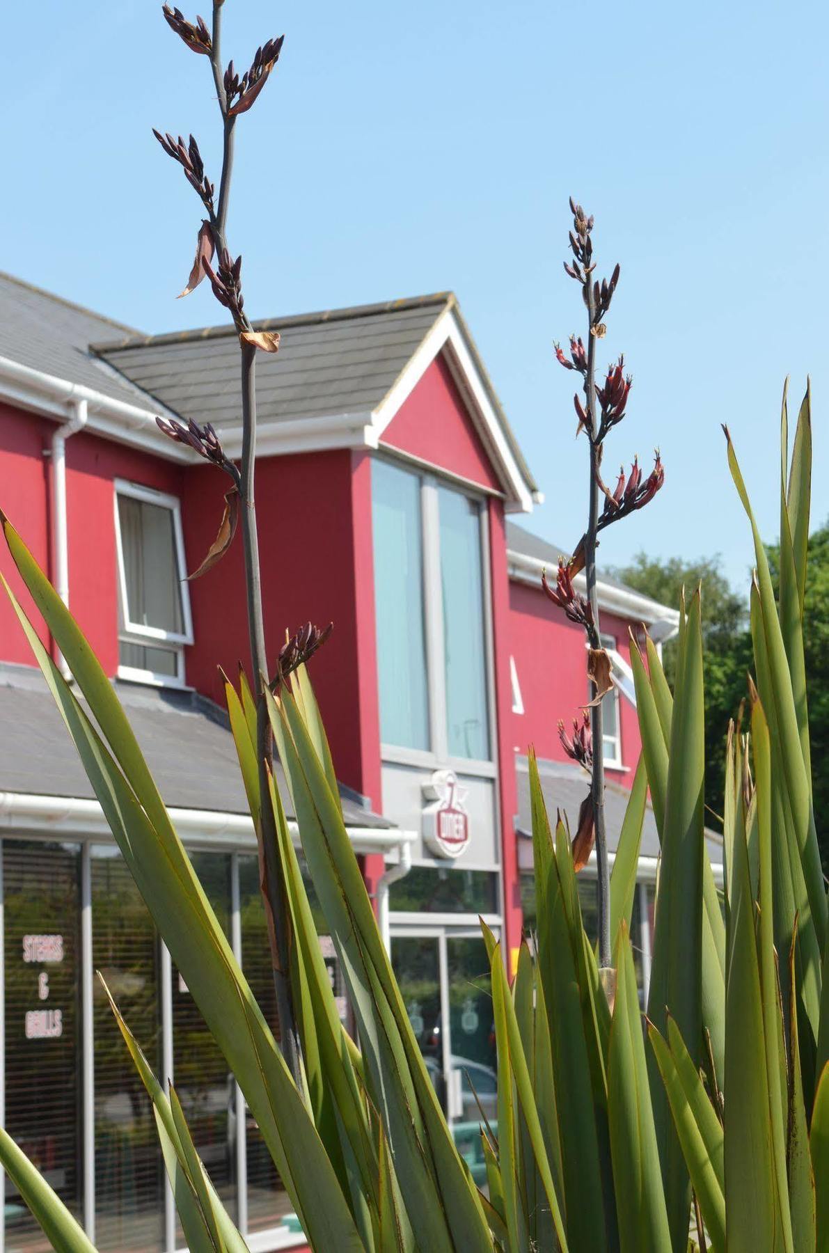 7Hotel Diner Halstead  Eksteriør billede